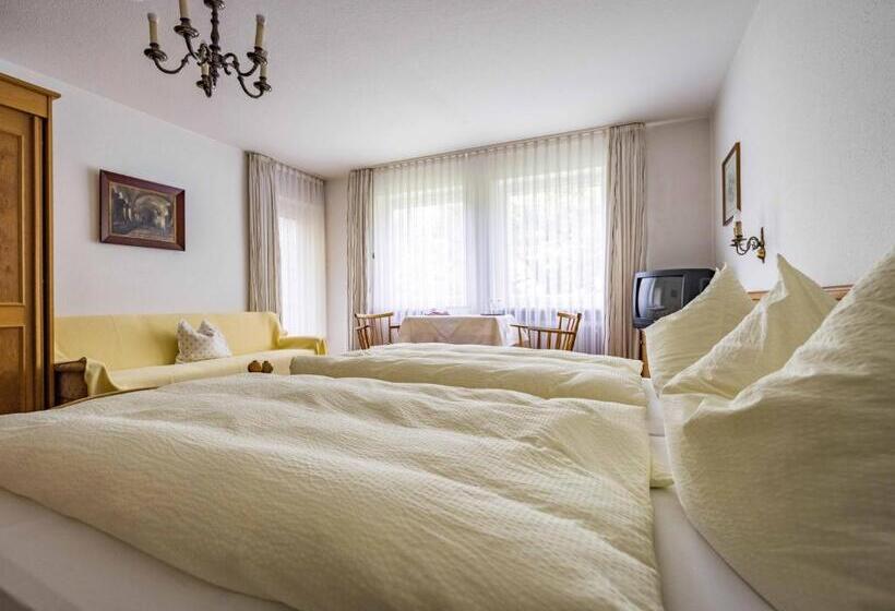 Standard-huone Vuoristonäkymä, Gästehaus Christa Mauerer