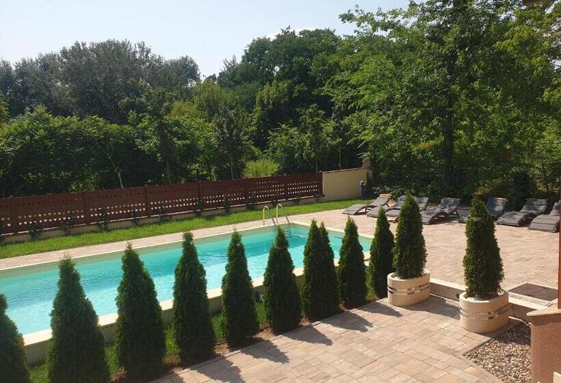 استودیوی لوکس, Guest House Vila Lujza