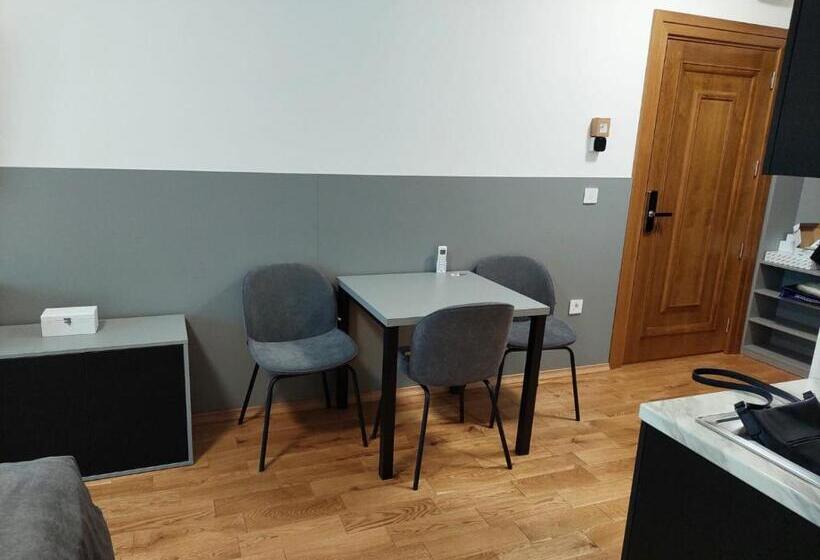 استودیوی لوکس, Guest House Vila Lujza