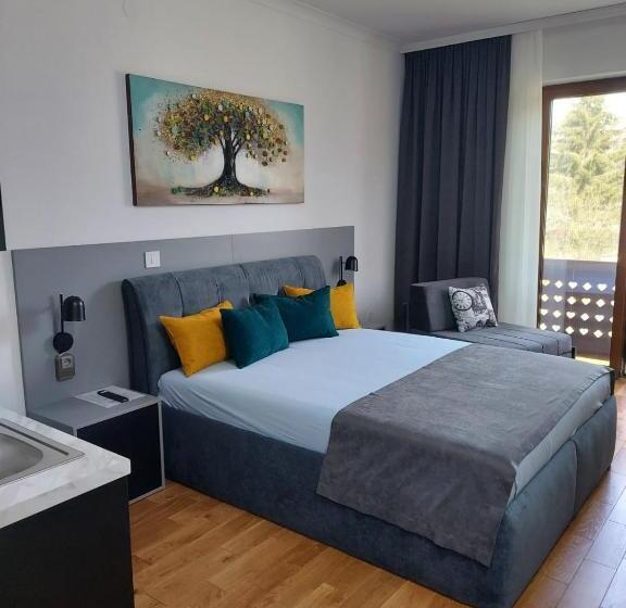 استودیوی لوکس, Guest House Vila Lujza