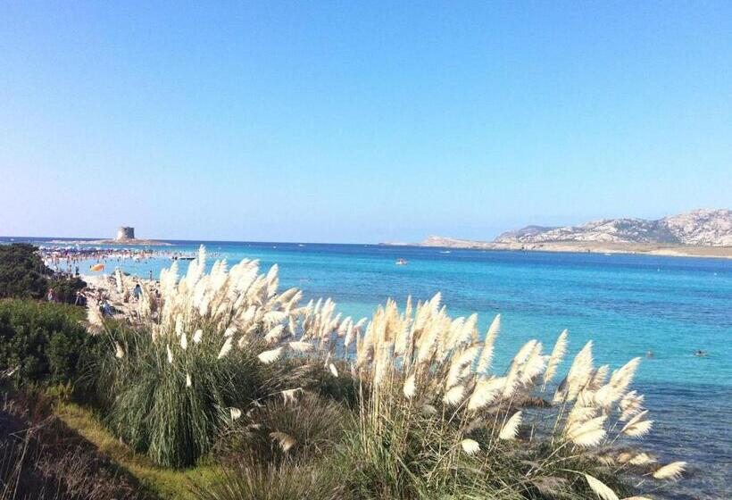 Вилла 1 Спальня, Rocca Ruja Vip