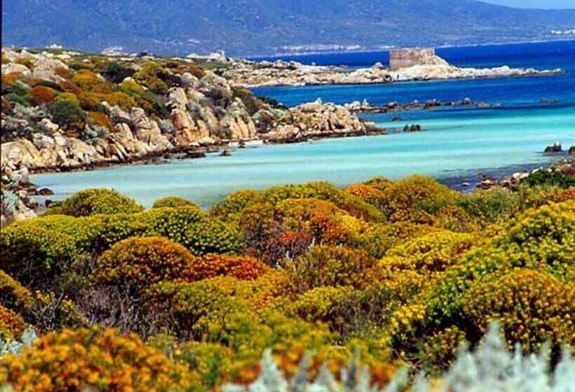 Вилла 1 Спальня, Rocca Ruja Vip