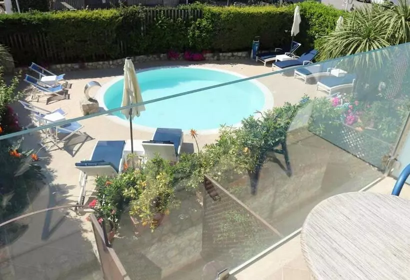 سوییت جونیور, Capri Bougainville