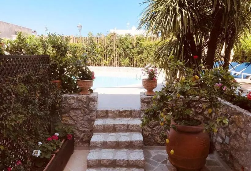 اتاق لوکس, Capri Bougainville