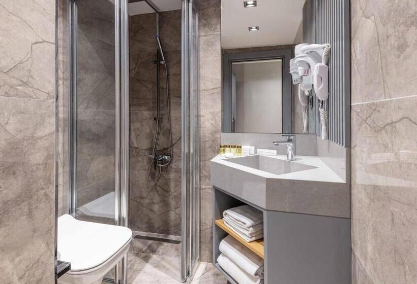 エコノミールーム, Villa Zurich