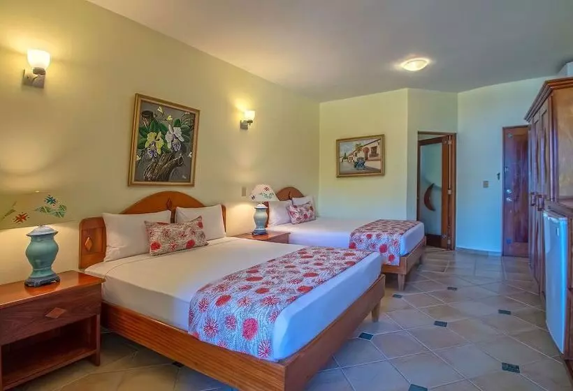 اتاق استاندارد با چشم‌انداز دریا, Velero Beach Resort