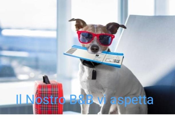 غرفة ديلوكس, B&b Celeste