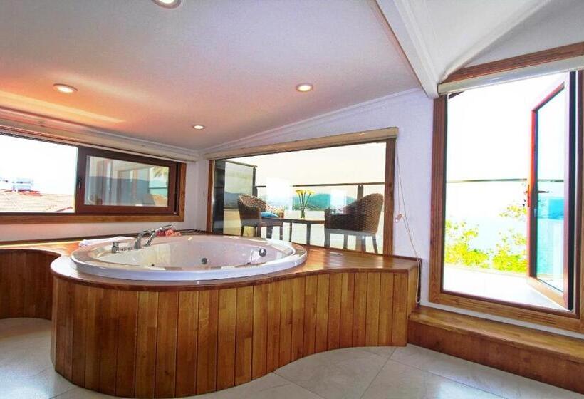 带1个卧室的顶楼公寓, George S Boutique