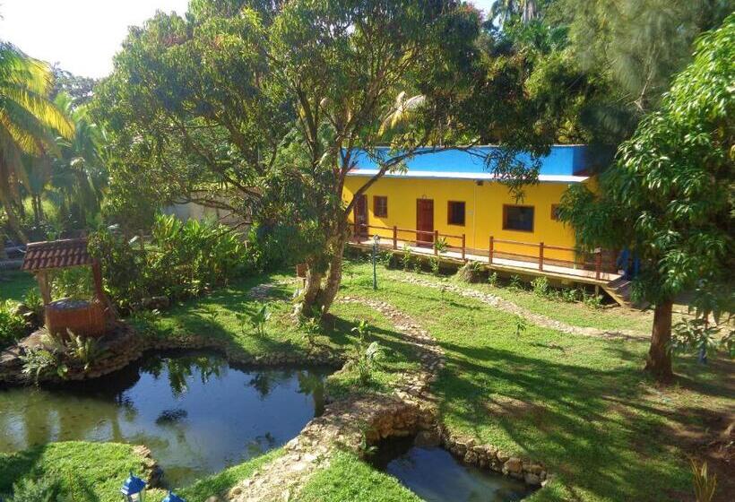اتاق استاندارد چهارنفره با چشم‌انداز باغ, Livingston Resort