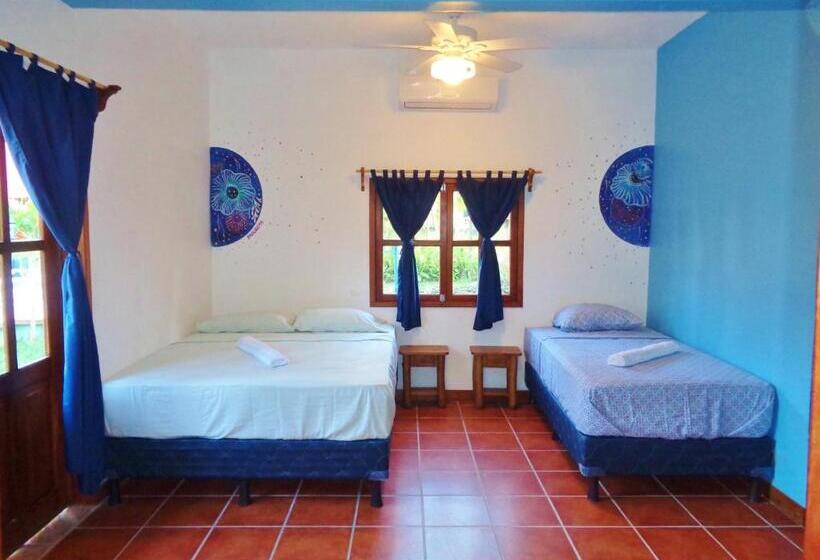 اتاق سوپریور چهار تخته, Livingston Resort