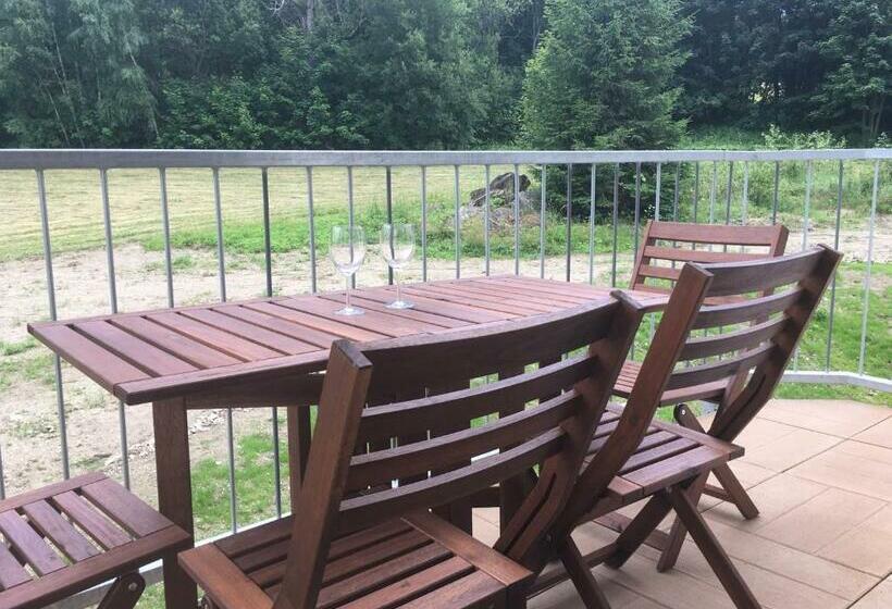 Президентский Люкс, Efi Aparthotel Horní Lipová