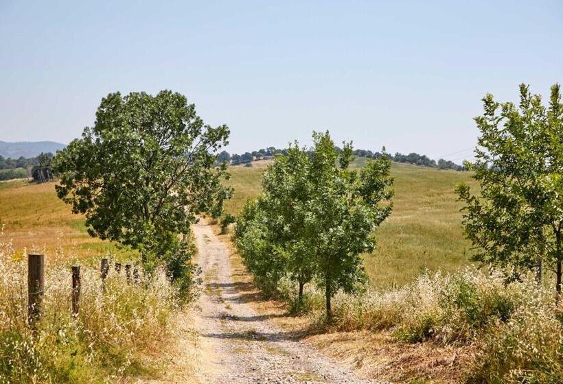 דירת חדר בקומת קרקע, Agriturismo Montecrespini