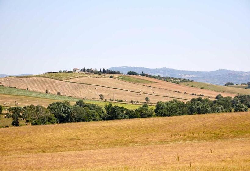 Апартаменты 1 Спальня с Террасой, Agriturismo Montecrespini