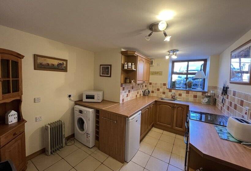 低层单卧公寓, Anchor