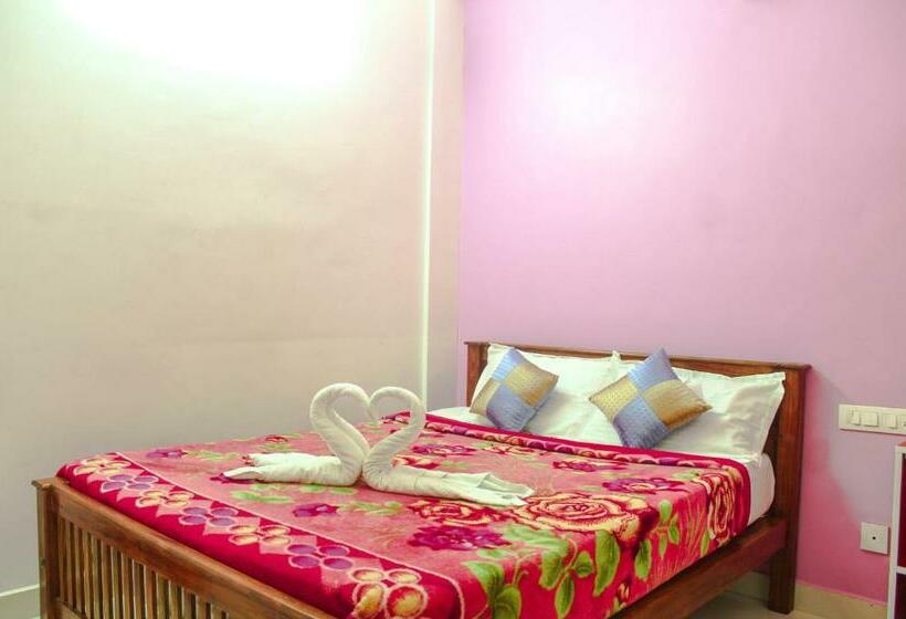 Quarto Economy, Msp Amma Cottage