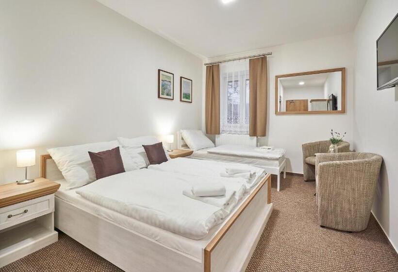 חדר סטנדרט לשלושה, Pension Varta