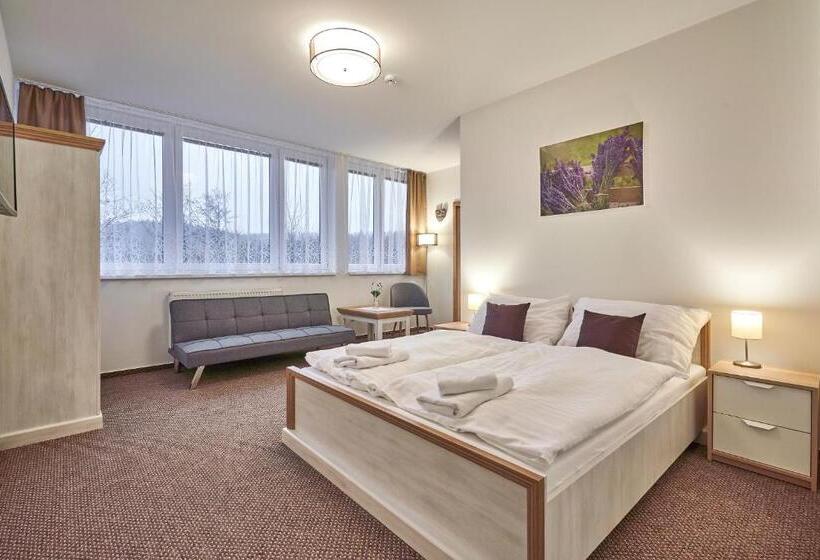 חדר סטנדרט, Pension Varta