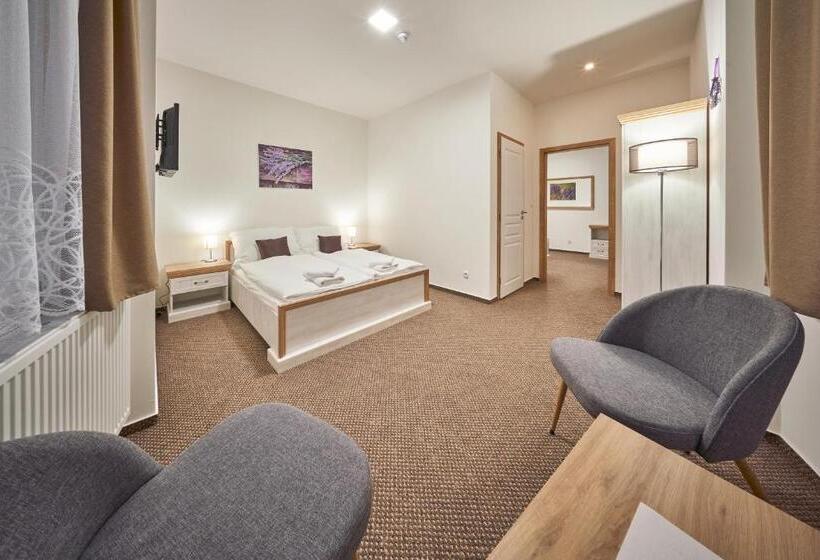 סטודיו משפחתי, Pension Varta