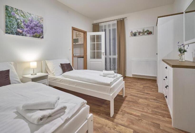 דירה בת חדר שינה 1 עם מרפסת, Pension Varta