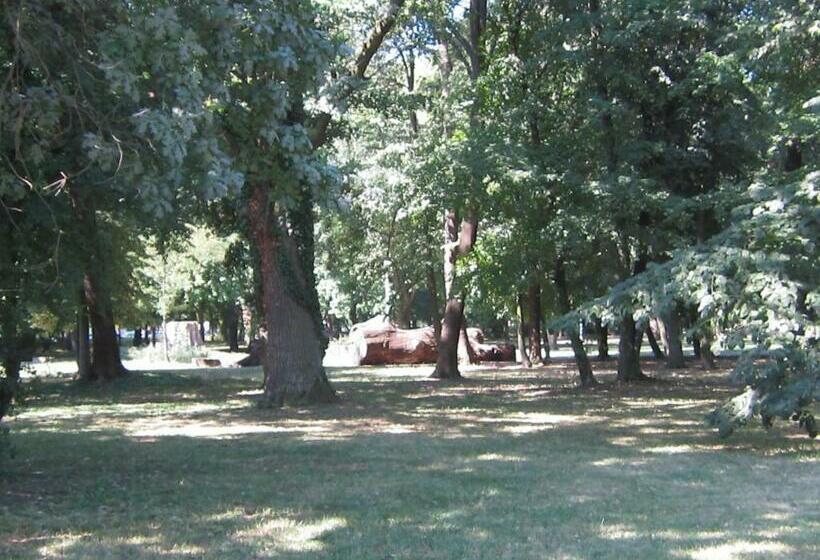 غرفة قياسية, Csigaház Panzió