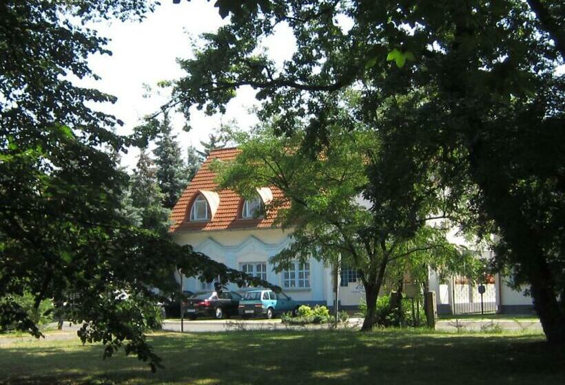 غرفة قياسية, Csigaház Panzió