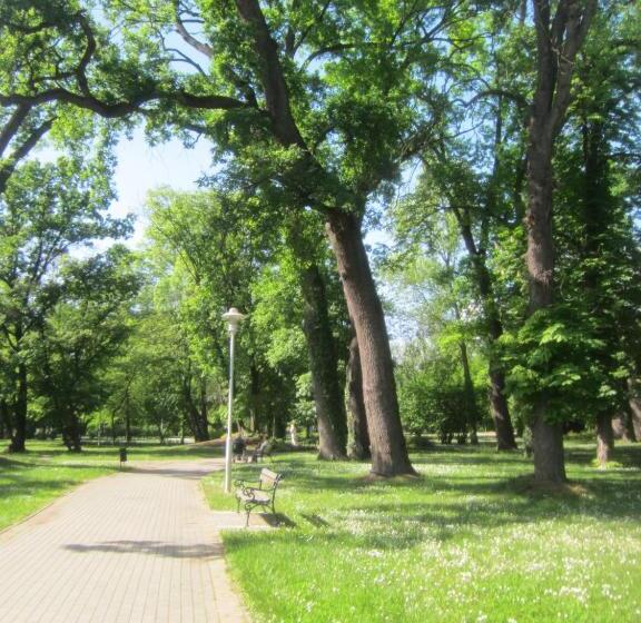 غرفة قياسية رباعية مزودة بشُرفة, Csigaház Panzió