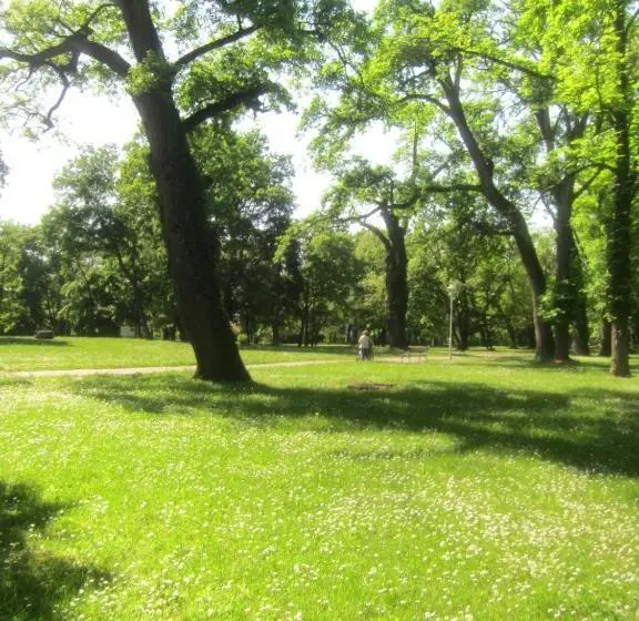 اتاق استاندارد چهارنفره با بالکن, Csigaház Panzió