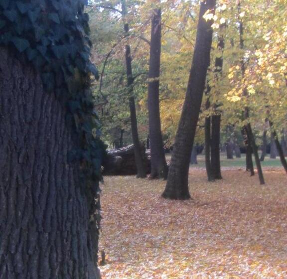 غرفة قياسية رباعية مزودة بشُرفة, Csigaház Panzió