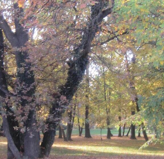 غرفة قياسية رباعية مزودة بشُرفة, Csigaház Panzió