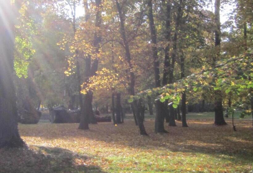 غرفة قياسية رباعية مزودة بشُرفة, Csigaház Panzió