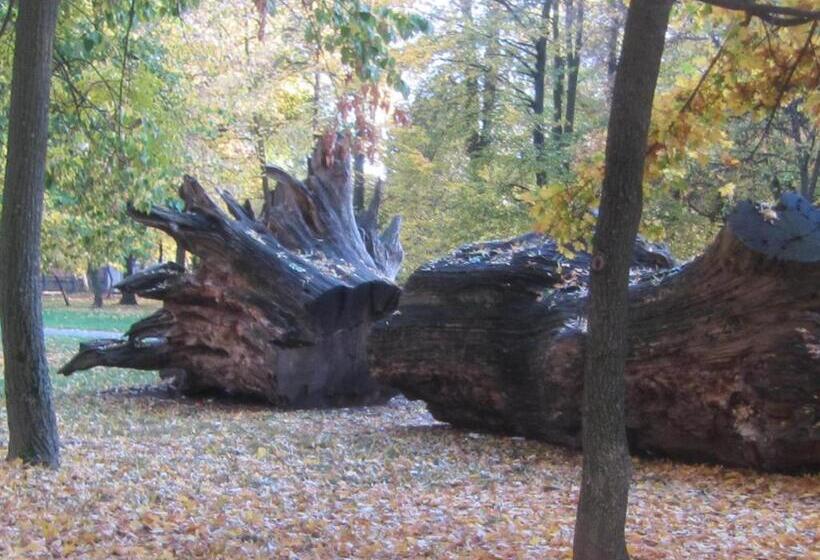 Четырехместный Номер Стандарт с Балконом, Csigaház Panzió