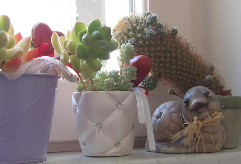 غرفة قياسية مزوَّدة بتراس, Csigaház Panzió