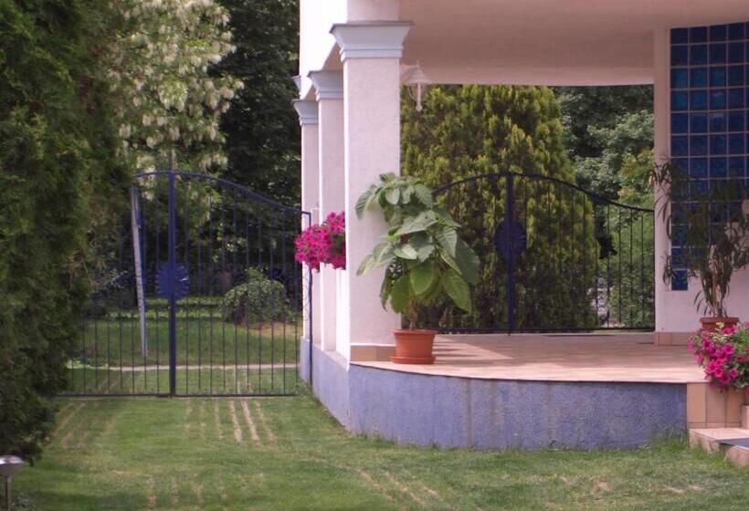 غرفة قياسية مزوَّدة بتراس, Csigaház Panzió