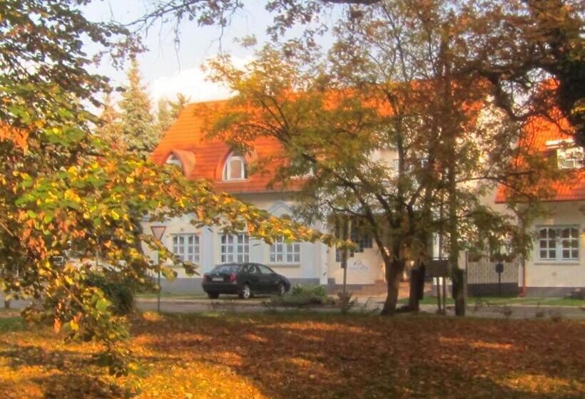 غرفة قياسية رباعية مزودة بشُرفة, Csigaház Panzió