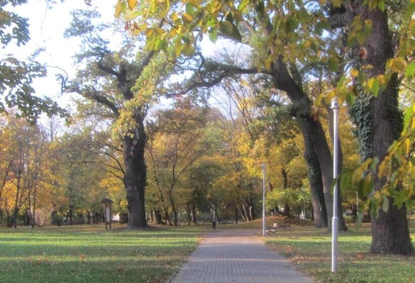 غرفة قياسية رباعية مزودة بشُرفة, Csigaház Panzió