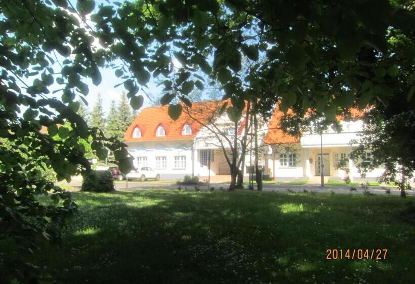 Номер Стандарт с Террасой, Csigaház Panzió