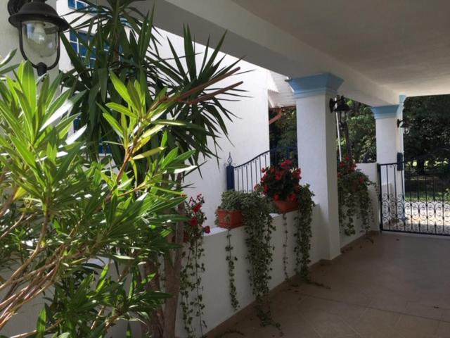 غرفة قياسية, Csigaház Panzió