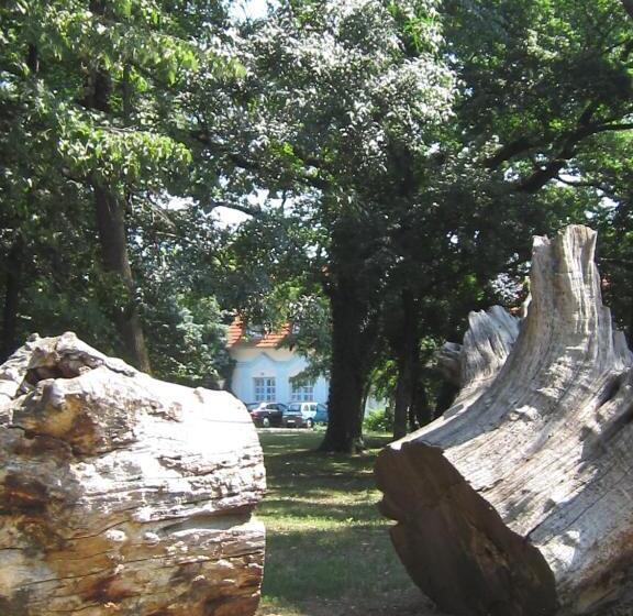 غرفة قياسية, Csigaház Panzió