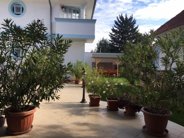 غرفة قياسية رباعية مزودة بشُرفة, Csigaház Panzió