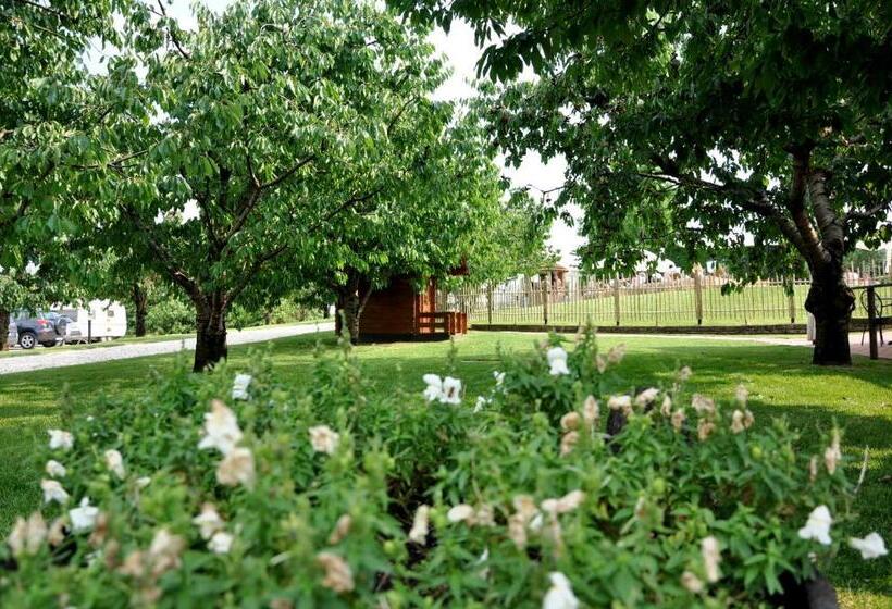 غرفة قياسية, Agriturismo & Agricamping Serena