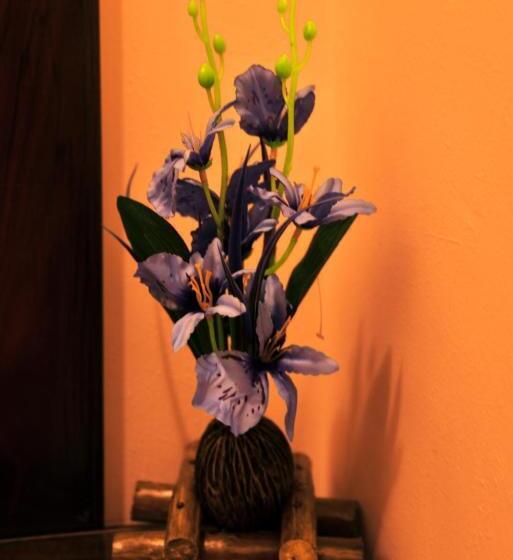 수피리어 트리플 룸, Anon Rest