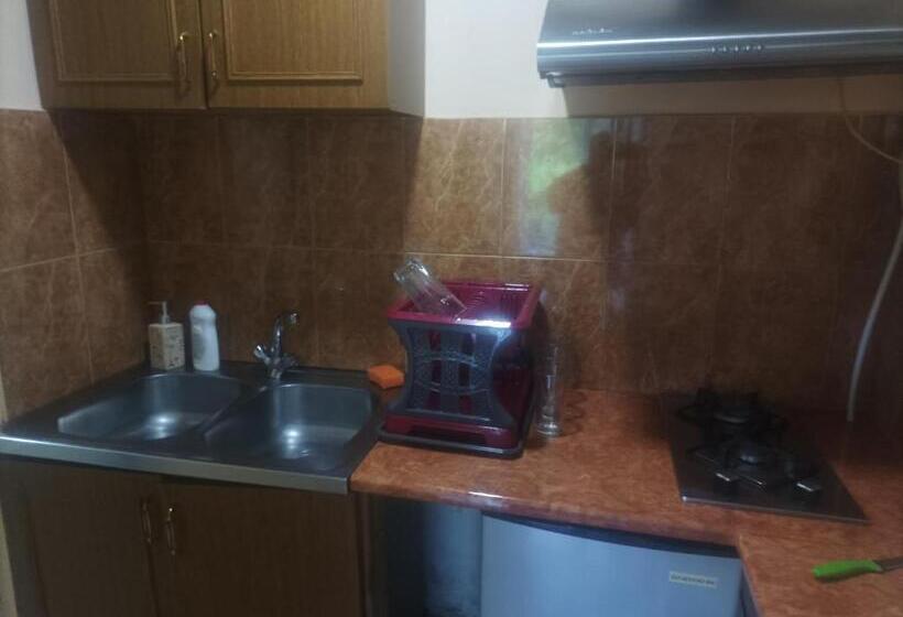 آپارتمان 1 خوابه با تراس, Guest House Casa