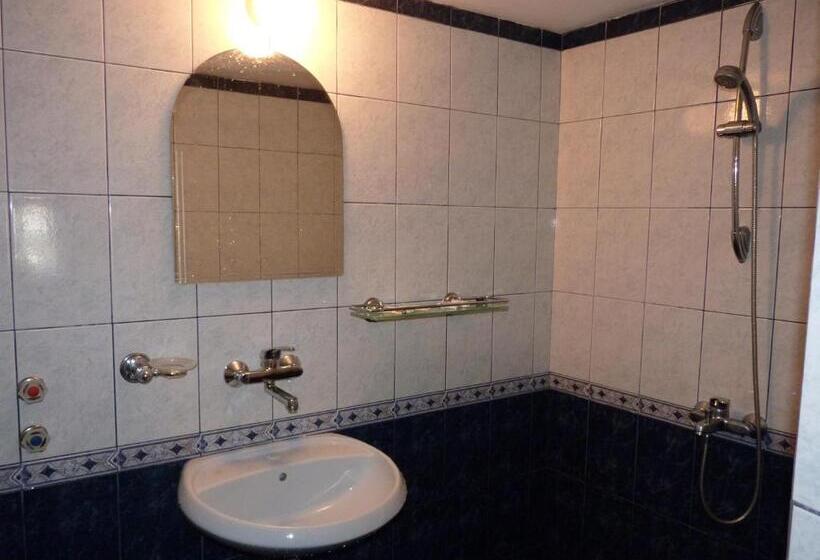 استودیو خانوادگی, Guest House Zhelevi