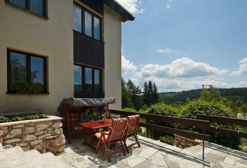 חדר סטנדרט לארבעה, Pension U Slunce