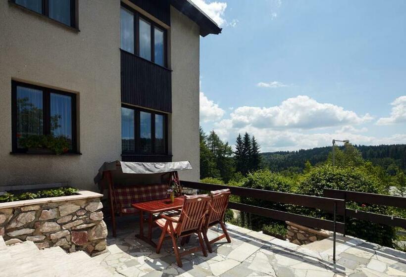 חדר סטנדרט לארבעה, Pension U Slunce