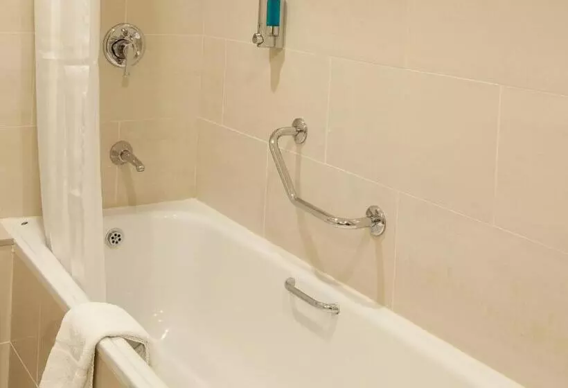 اتاق سوپریور با تخت بزرگ, Clayton Hotel Ballsbridge