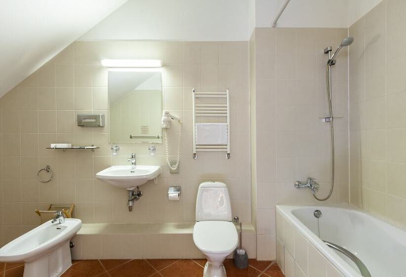 اتاق استاندارد یک نفره, Rinno