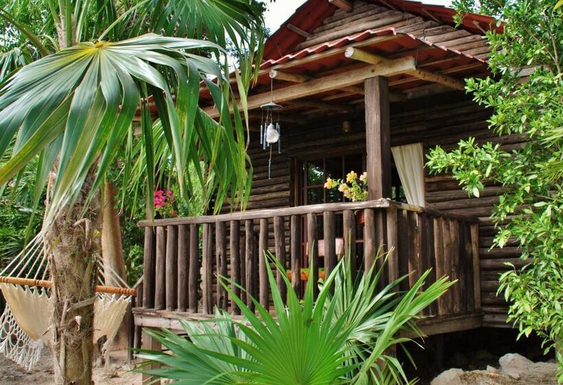 غرفة قياسية, El Chital