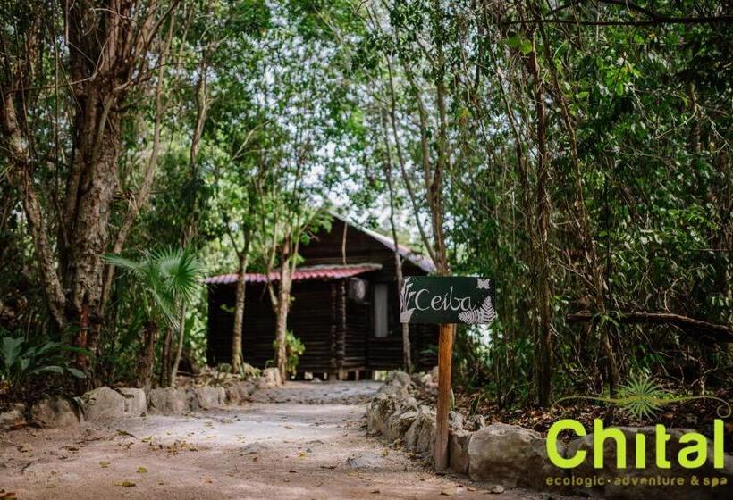 غرفة قياسية, El Chital