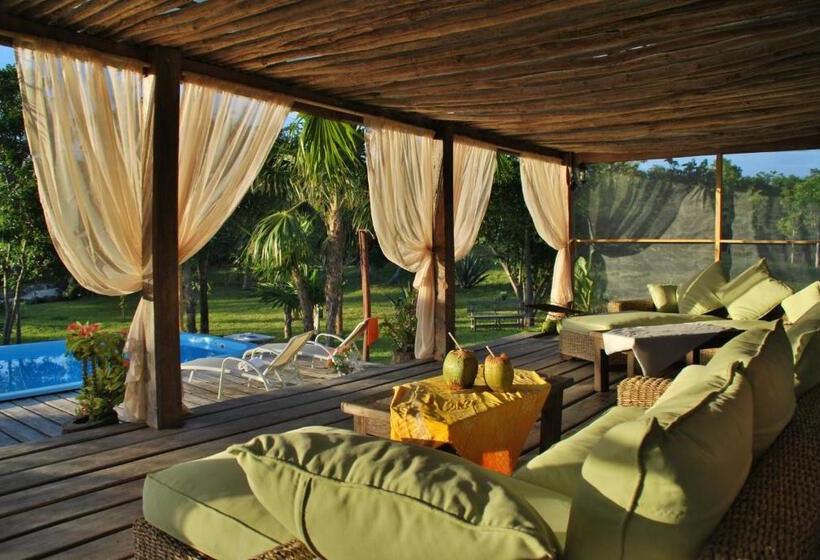 Номер Стандарт, El Chital